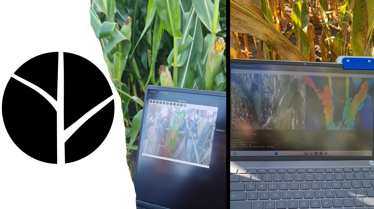 Corn Depth pipeline thumbnail